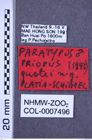 Etiketten zu Priopus quatei (NHMW-ZOO-COL-0007496)